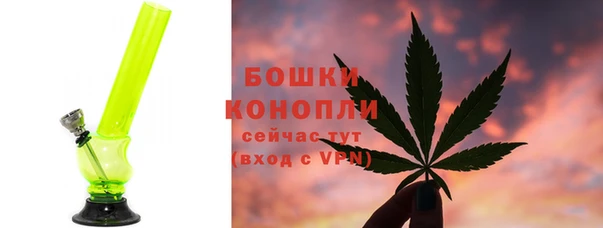 прущие грибы Богородск