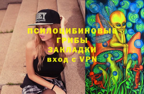 ALPHA PVP Переславль-Залесский