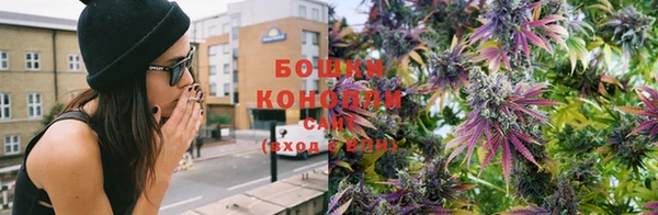 прущие грибы Богородск