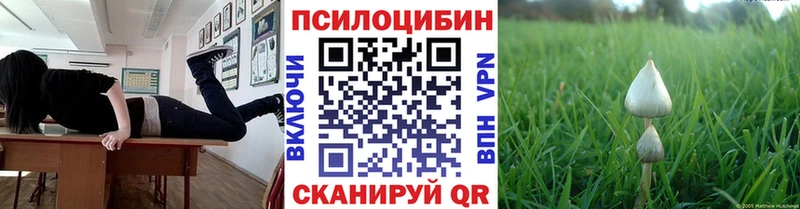 Галлюциногенные грибы Magic Shrooms  Электроугли 